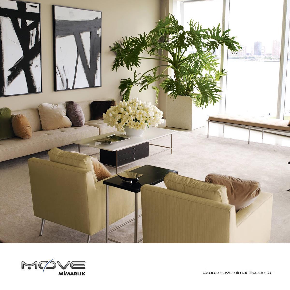 Evinizdeki Her Oda İçin En İyi Bitki Seçimleri Evinizdeki Her Oda İçin En İyi Bitki Seçimleri